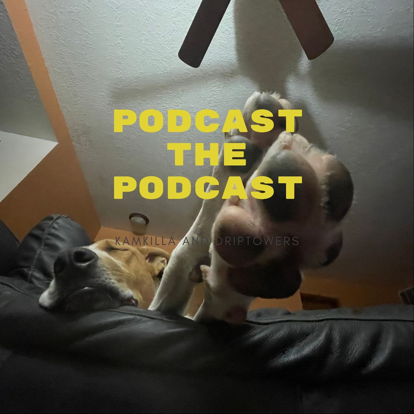 Podcast Image