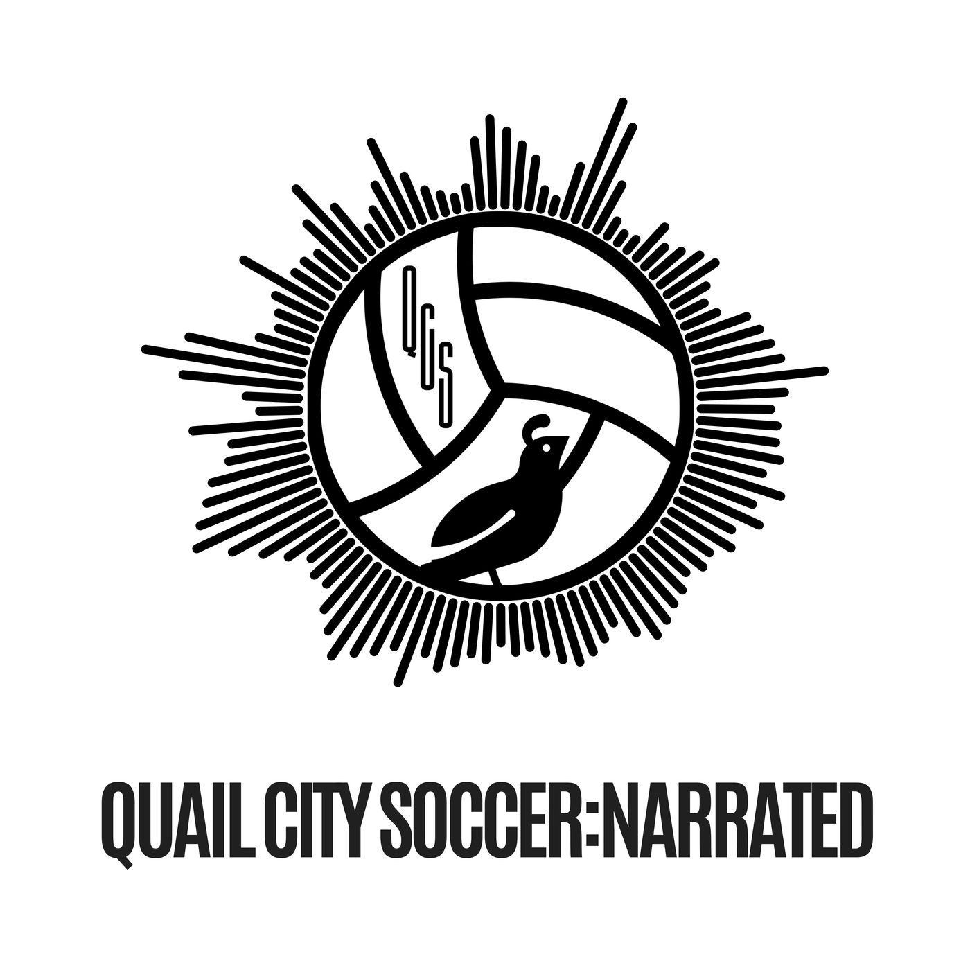 Quail City Soccer: Narrated podcast artwork