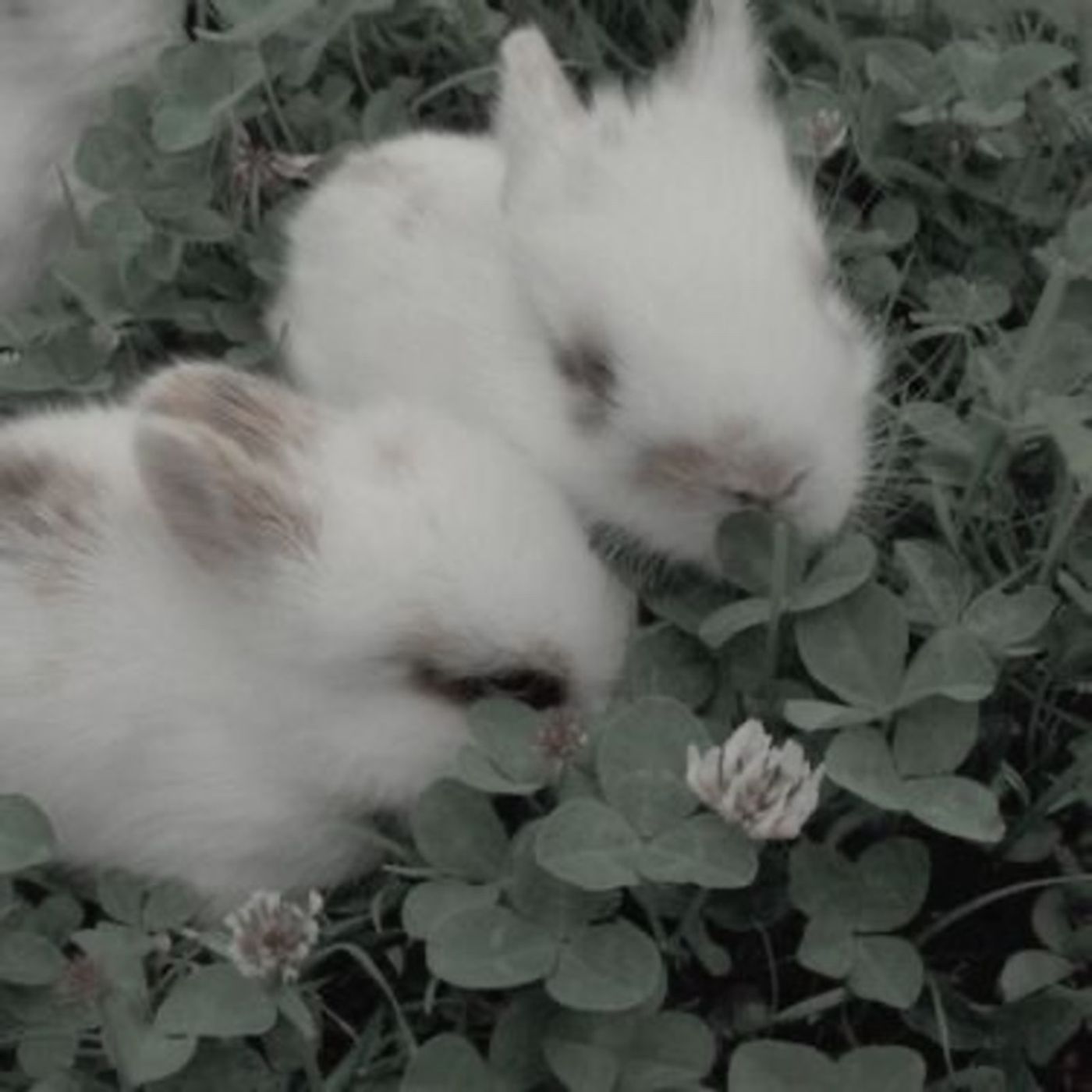 Yes To Heaven - Lana Del Rey