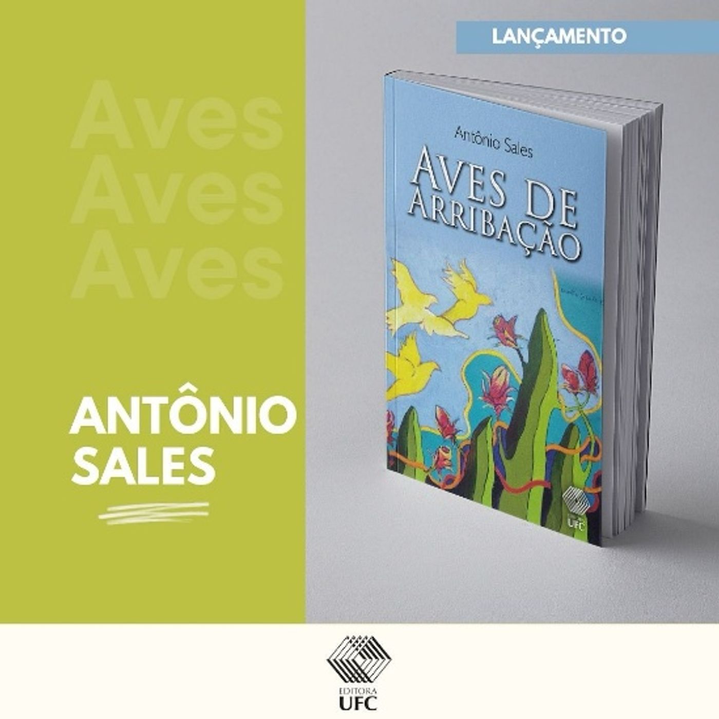 Nova edição do livro Aves de Arribação é lançada pela UFC