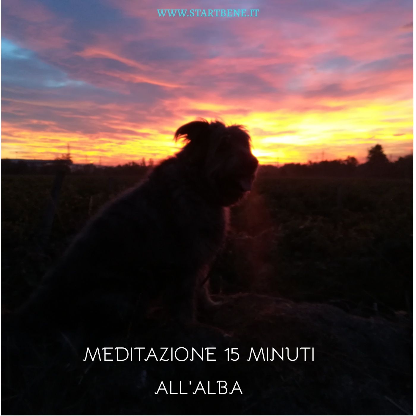 Startbene Meditazione 15 minuti