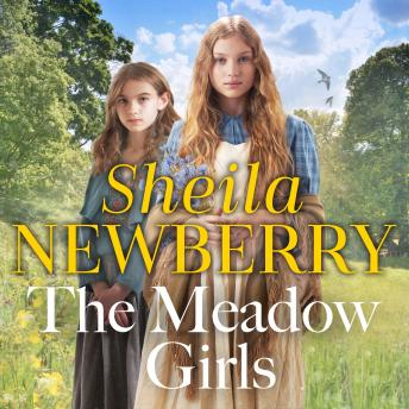 The Meadow Girls: A heartwarming World War I saga by Sheila Newberry, Sheila Everett episode artwork