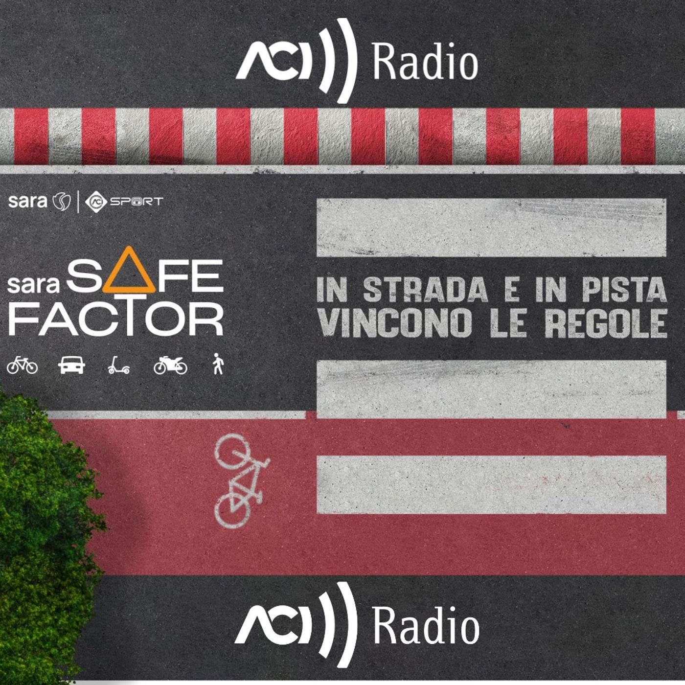 The Best Of “Sara Safe Factor 2024\