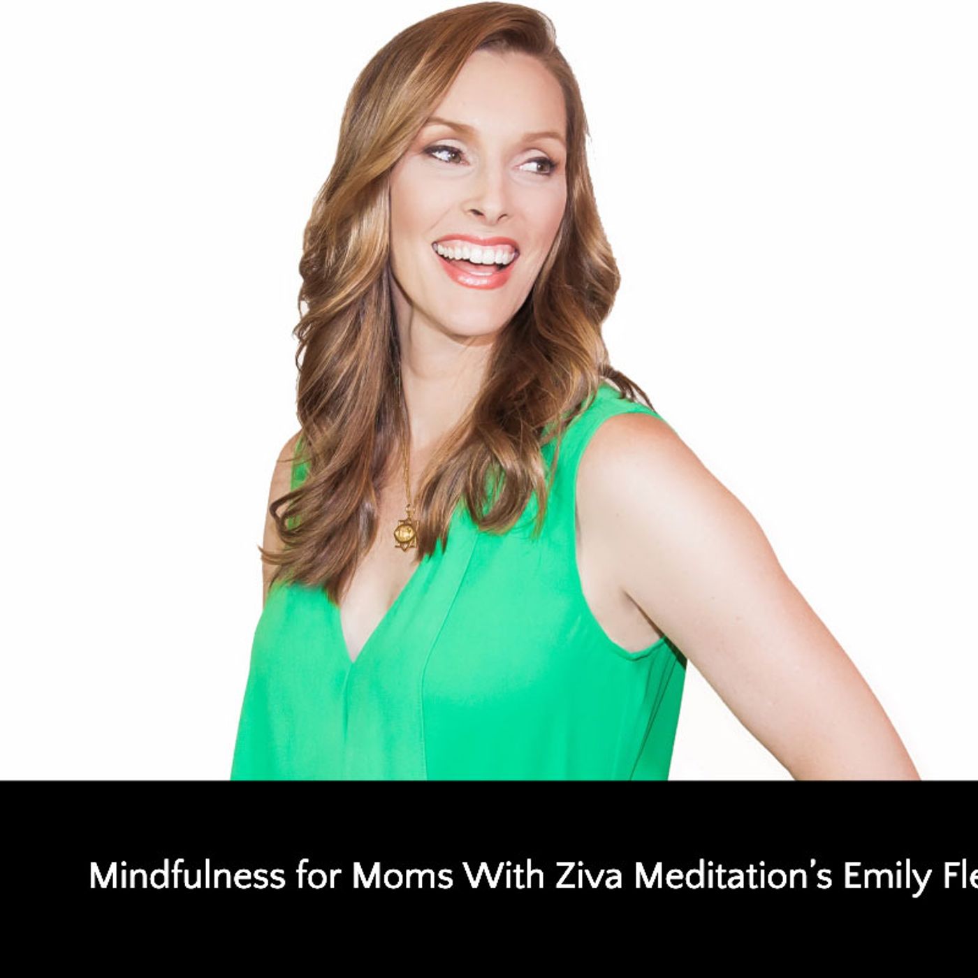 The Wellness Mama Podcast