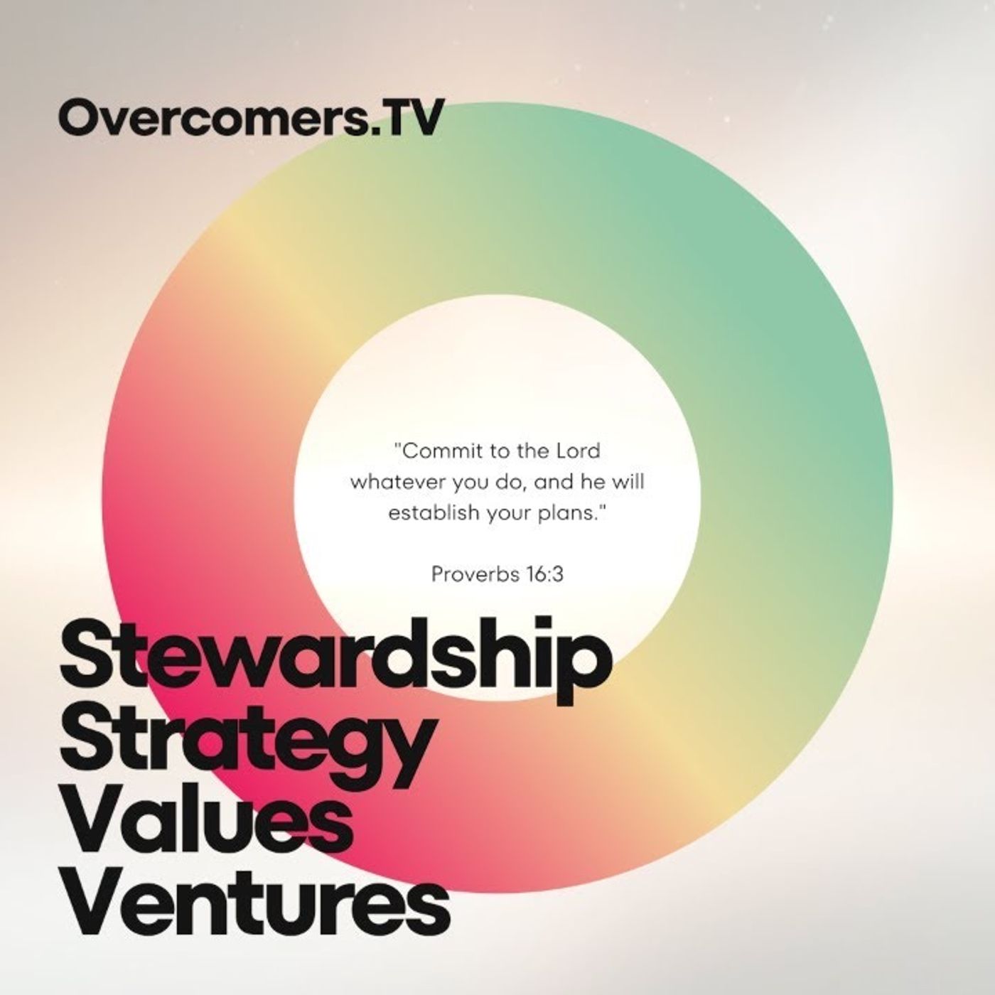 Stewardship & Strategy | Values & Ventures #013 | Why Ecclesiastes Matters