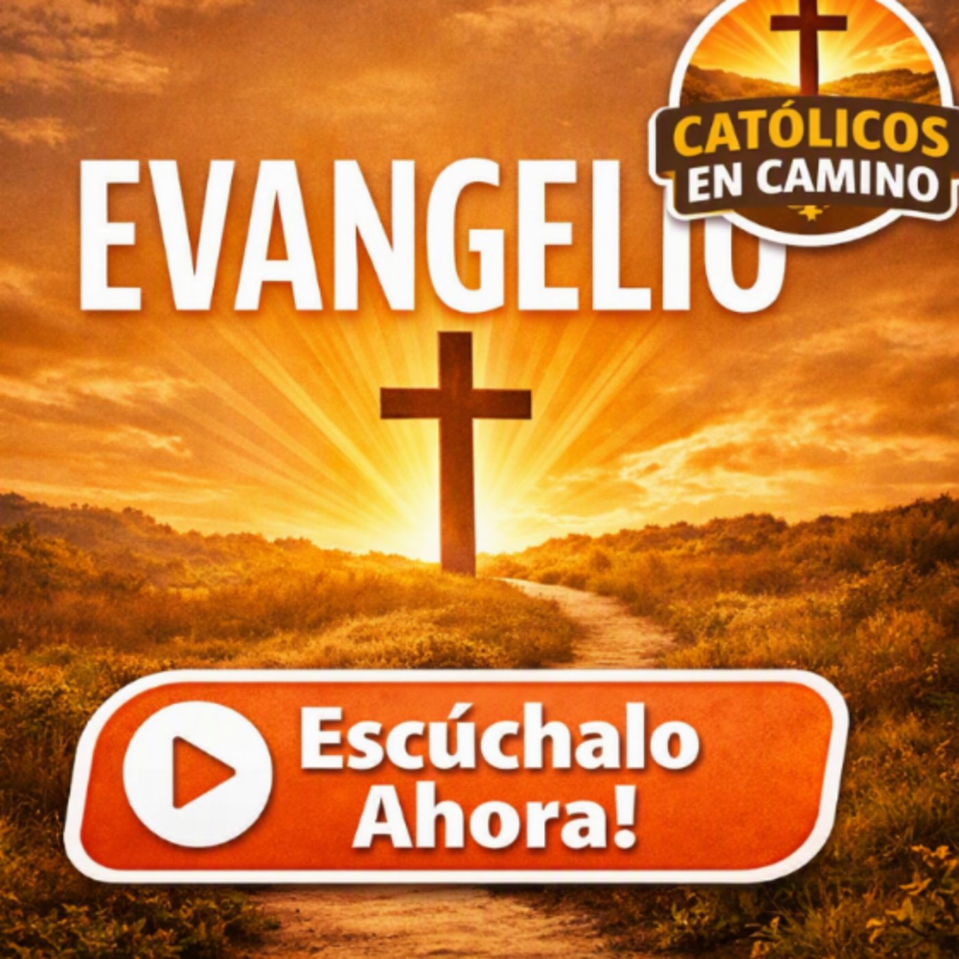 Santo Evangelio Diario 8 de Agosto Monseñor Enrique Diaz Diaz episode artwork