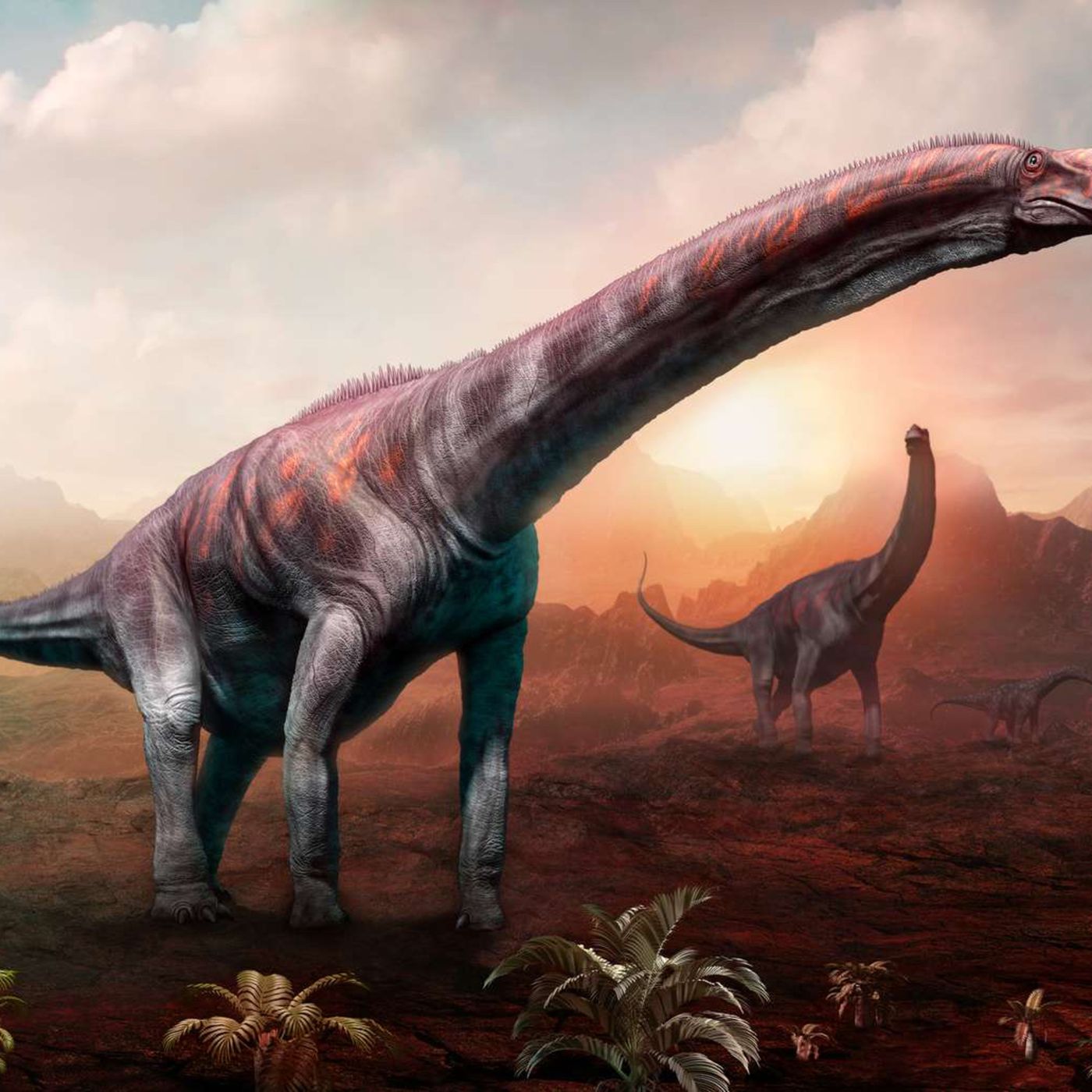 El argentinosaurio y la vaca Manuela