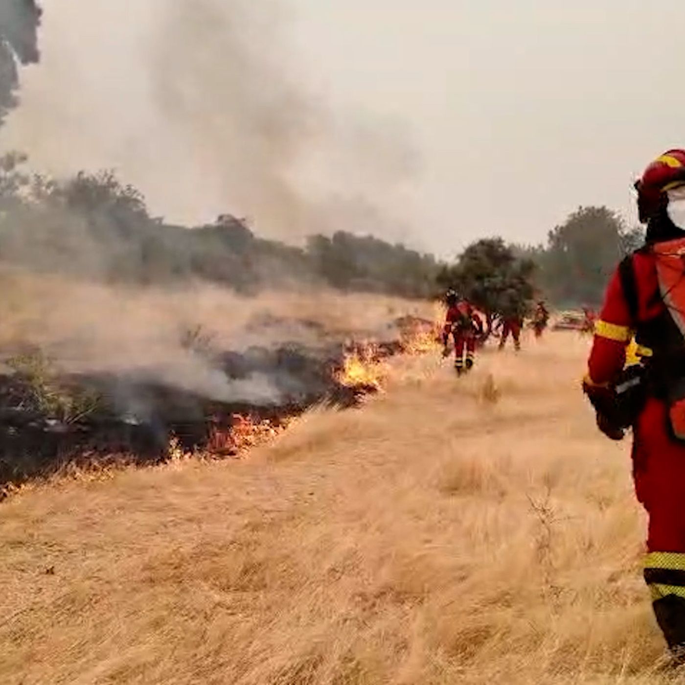 Madrid es Noticia: Infierno en Madrid: 34.000 hectáreas calcinadas