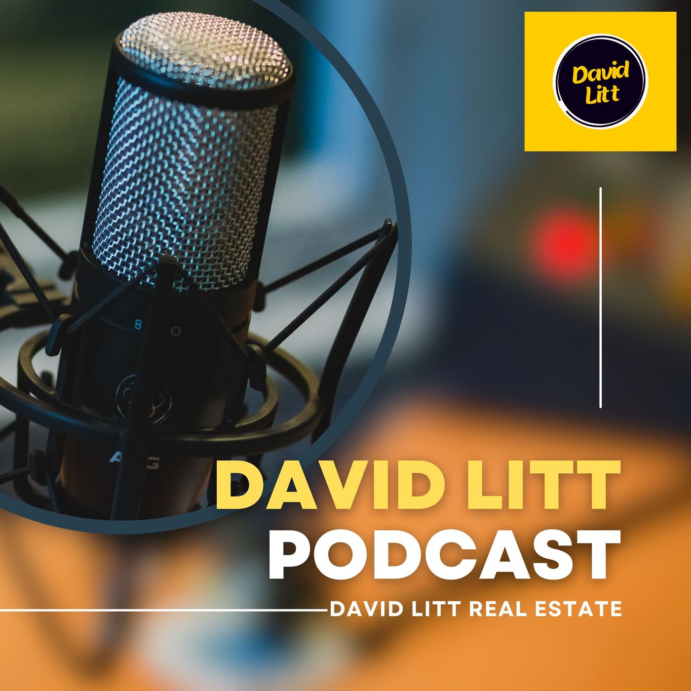 Beyond Excellence: The David Litt Real E