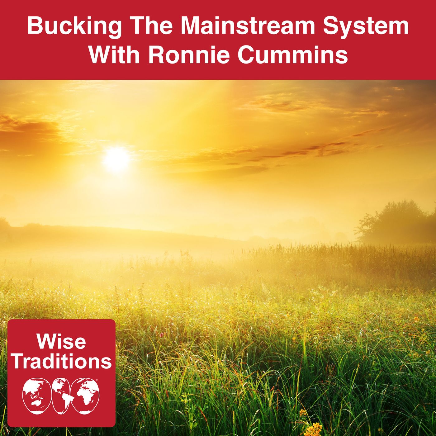 432: Bucking The Mainstream System episode artwork