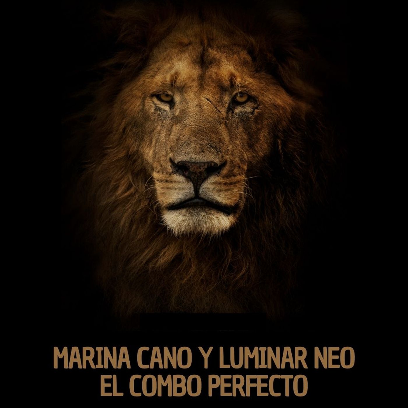 Marina Cano y Luminar Neo. El combo perfecto