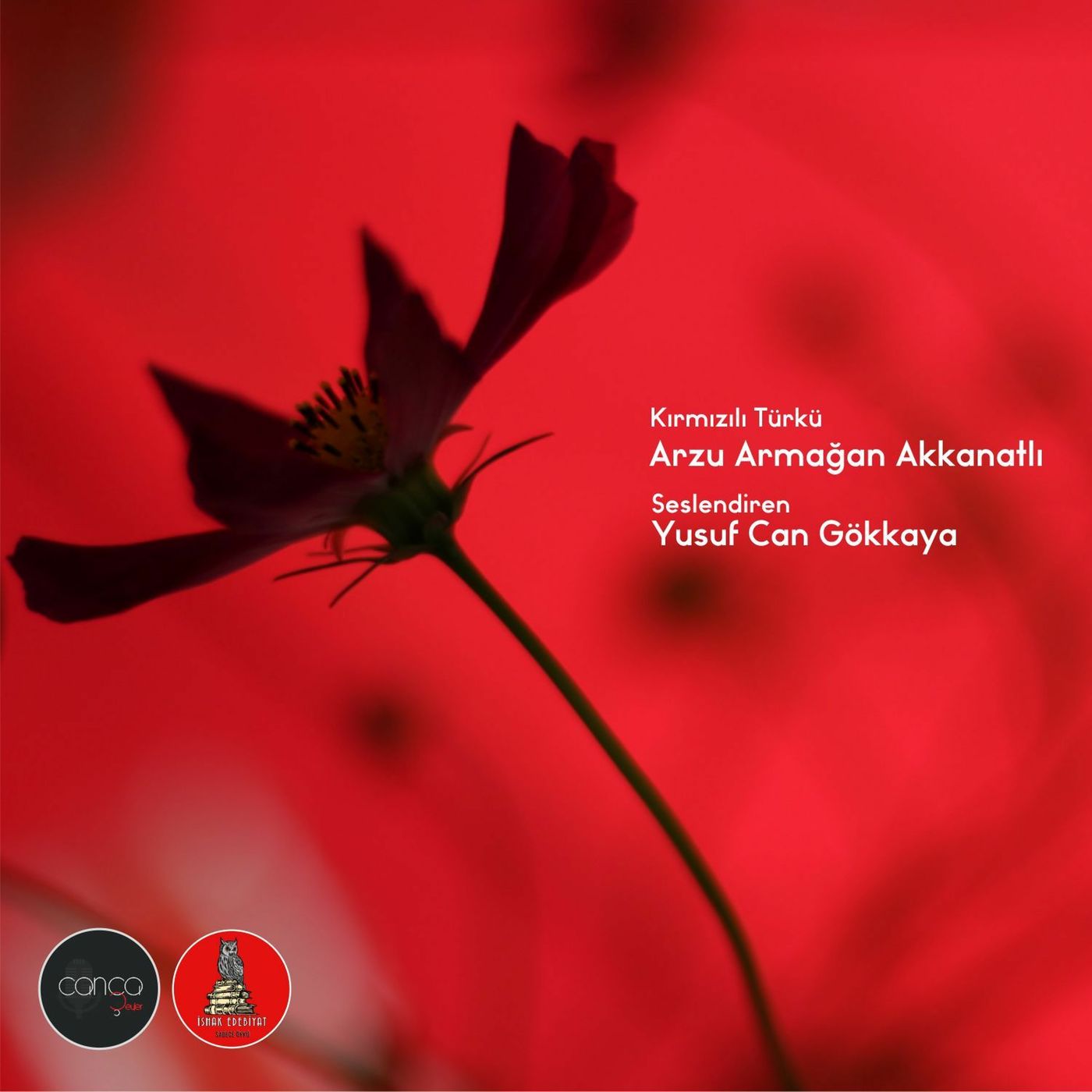Öykü | Arzu Armağan Akkanatlı - Kırmızılı Türkü episode artwork