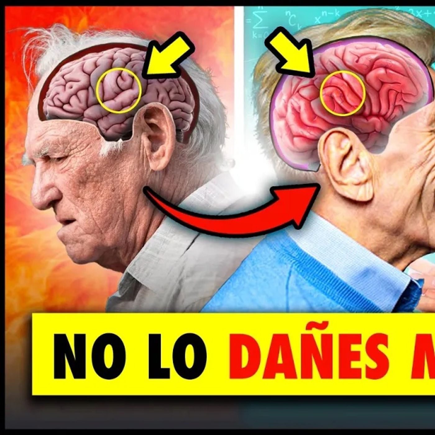 🧠REJUVENECE tu CEREBRO antes de que sea TARDE ✅15 Estrategias Validadas por la CIENCIA