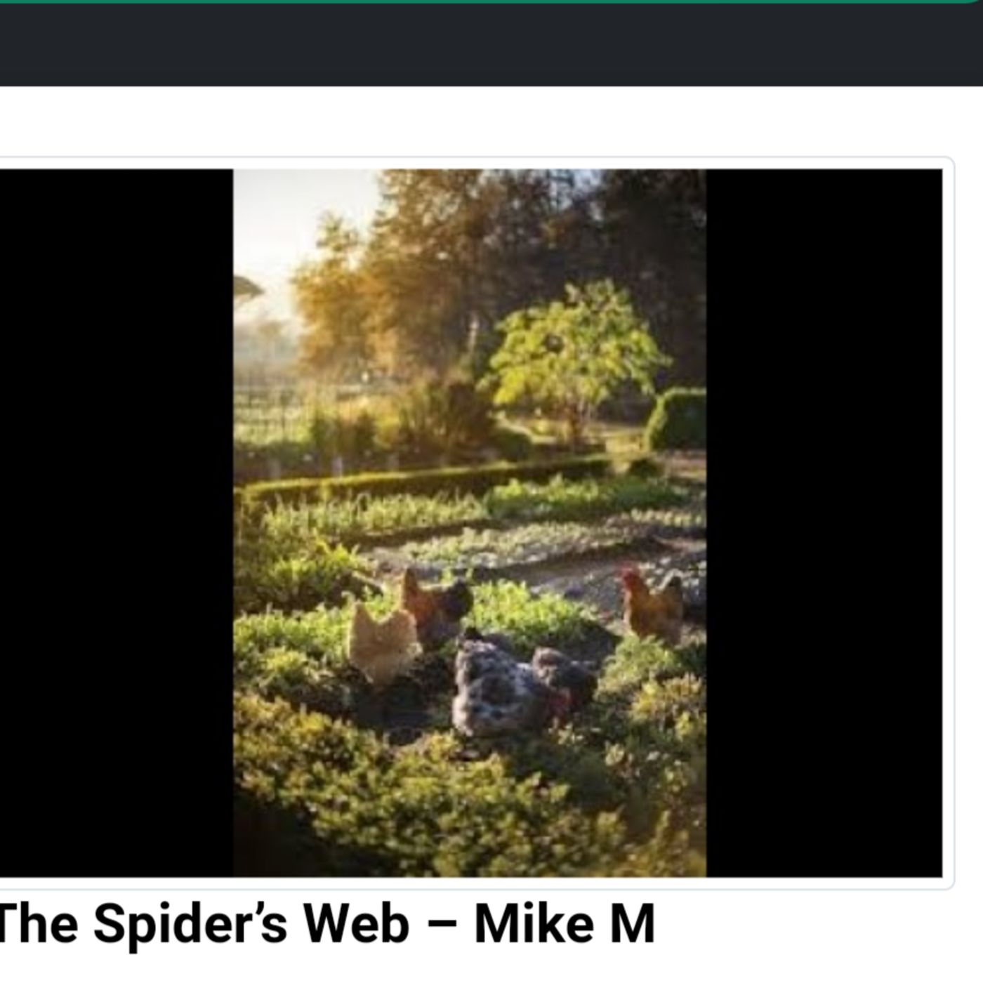 The spiders web episode artwork