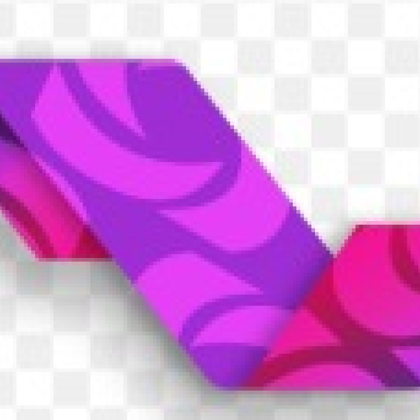 Conectando con la Transparencia NL cover art