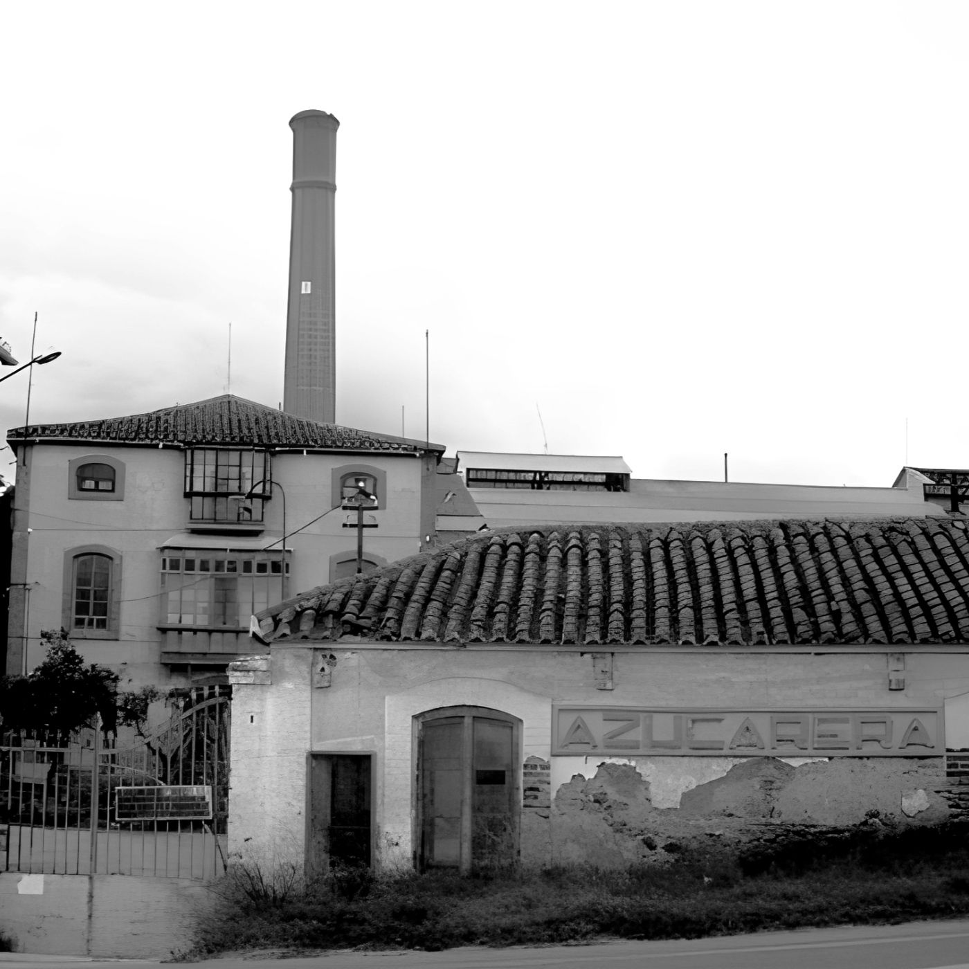 Crónicas de San Pedro Alcántara