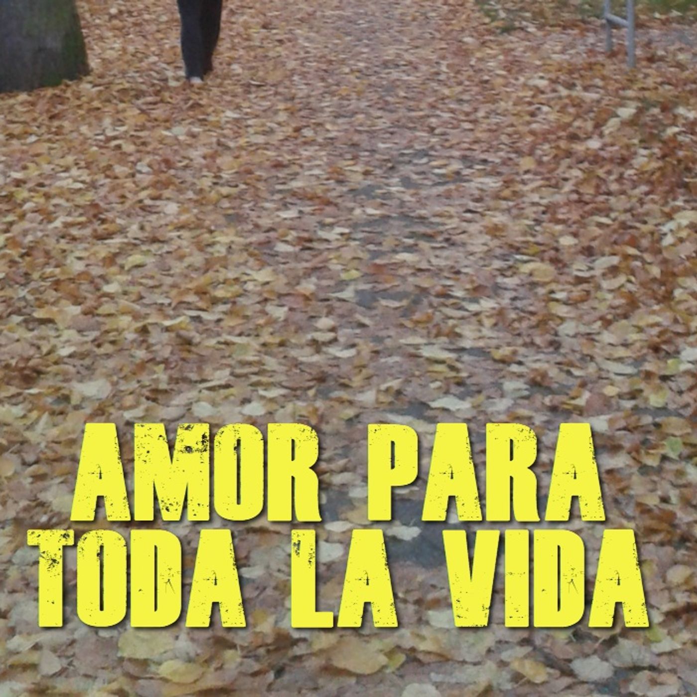 Amor para toda la vida / Reflexiones cristianas episode artwork