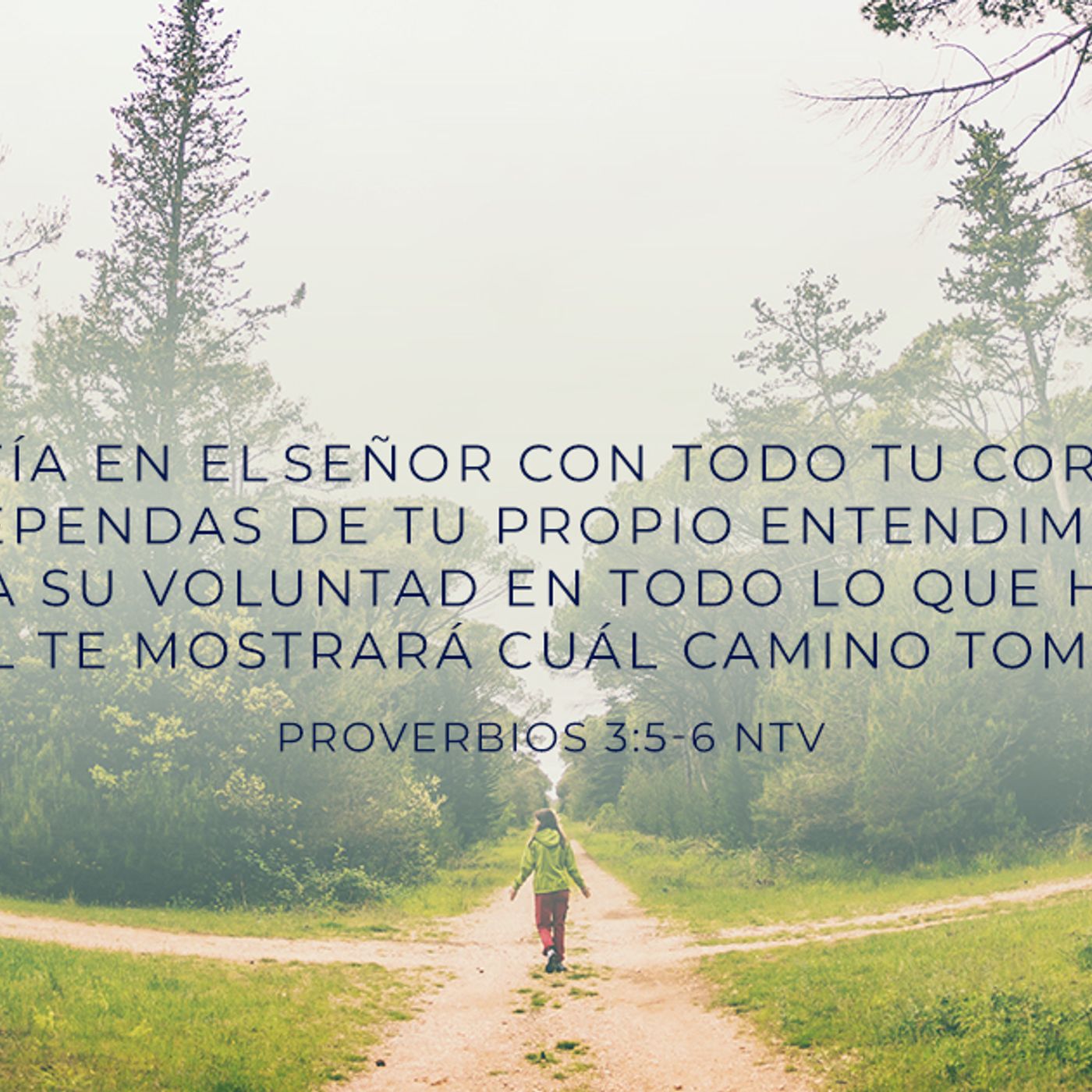 Portada de Un Camino Mejor