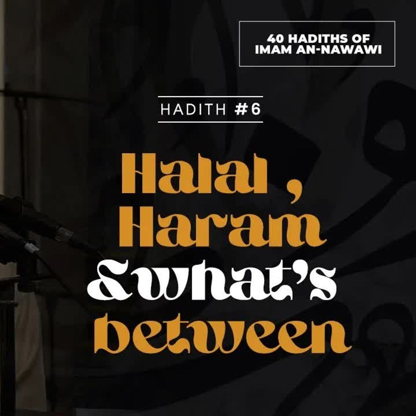 06 - Halal, Haram & what's between