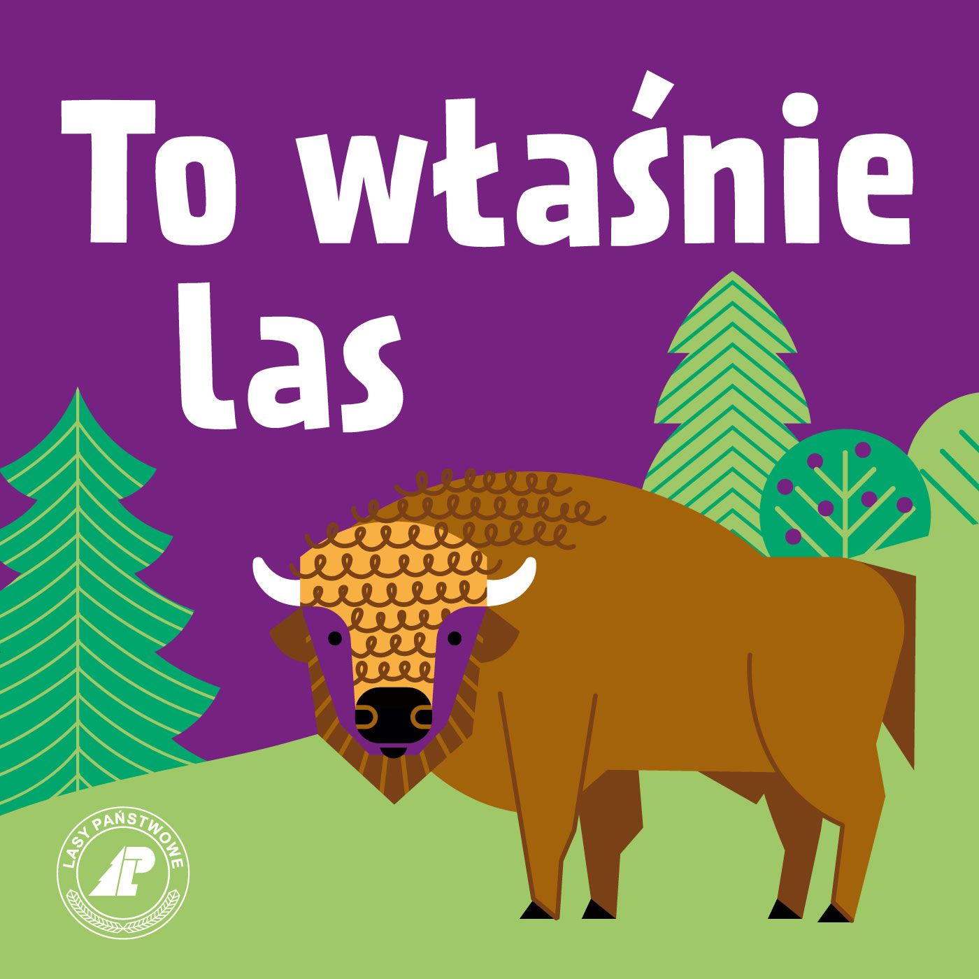 To właśnie las - WPROWADZENIE episode artwork