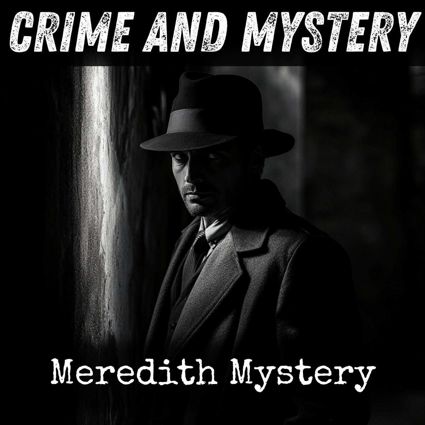 Meredith Mystery