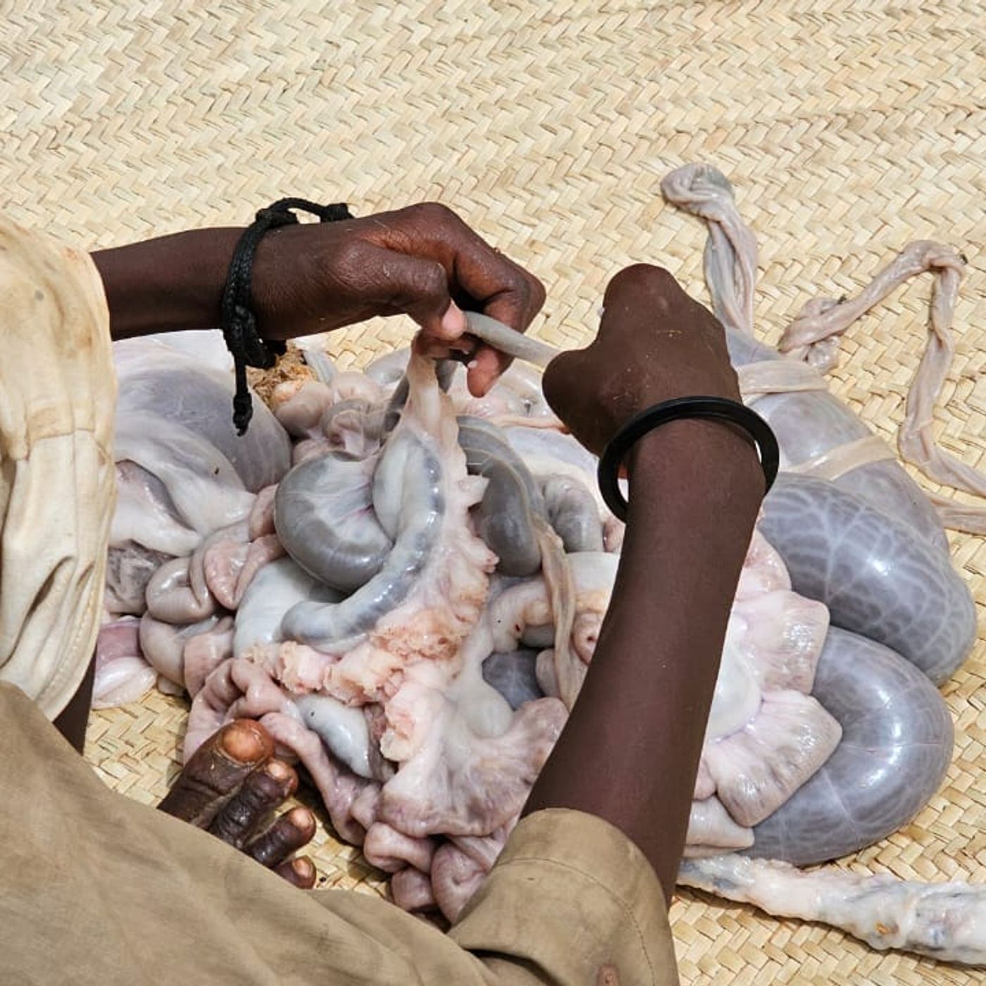 Assainissement, fortes chaleurs et maraîchage à N’Guigmi (Le Niger sur Kalangou) episode artwork