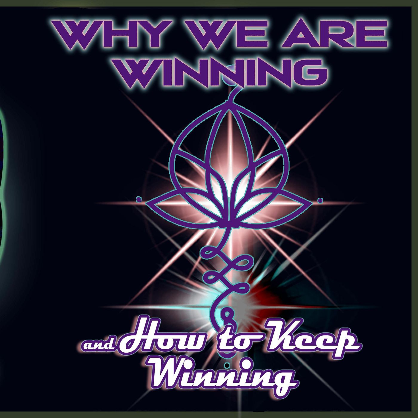 Why We Are Winning How To Keep Winning Audio