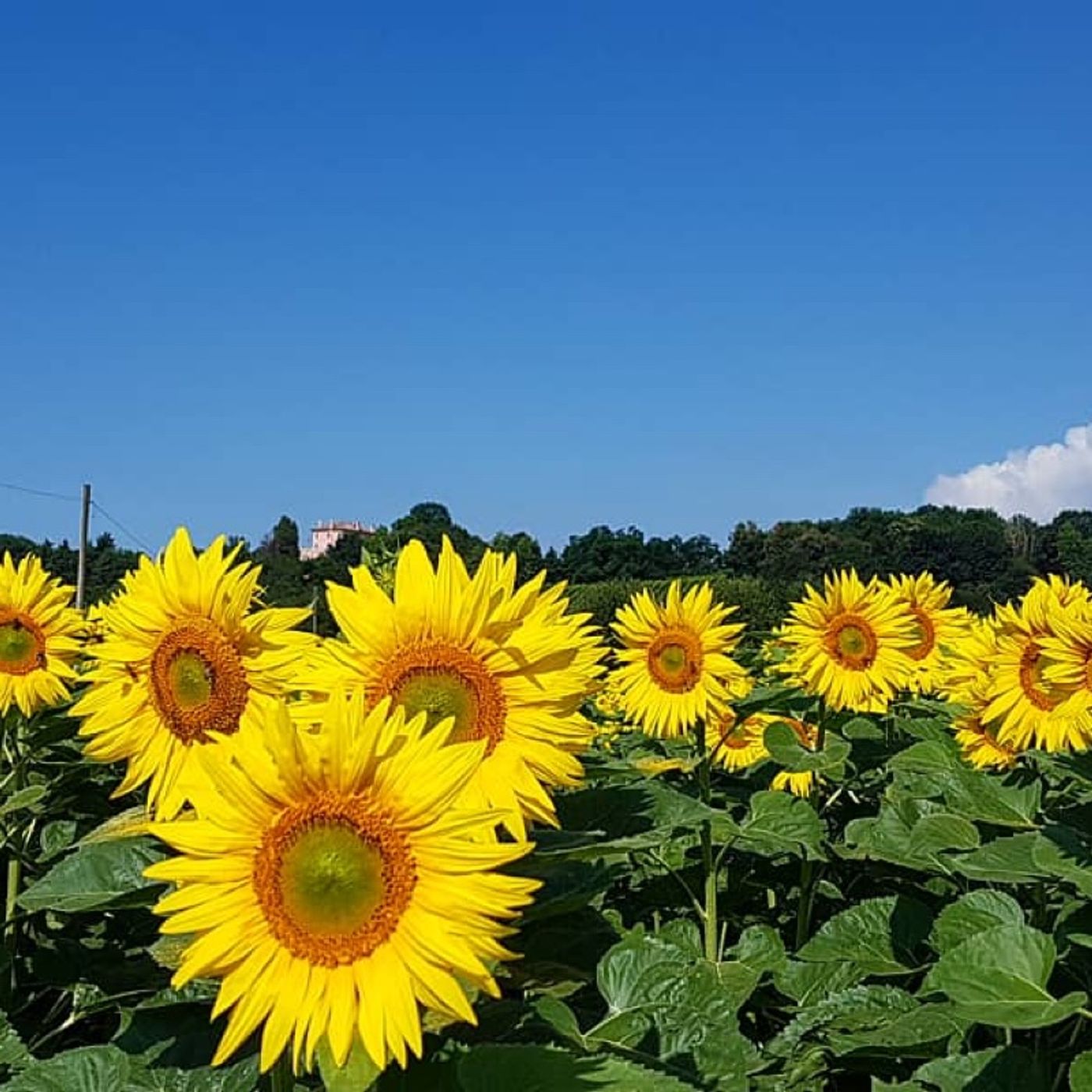Rilassati e Respira