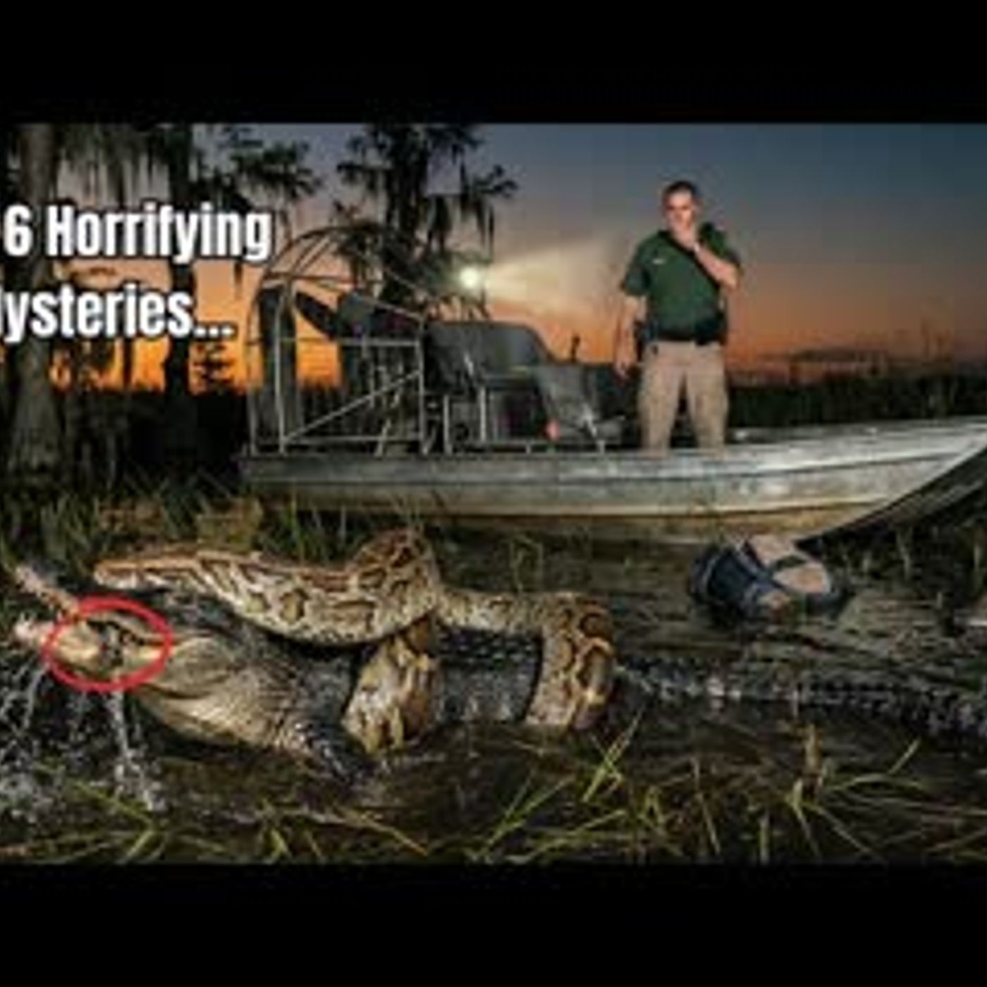 The 6 Horrifying Mysteries that Made Even the Everglades Afraid episode artwork