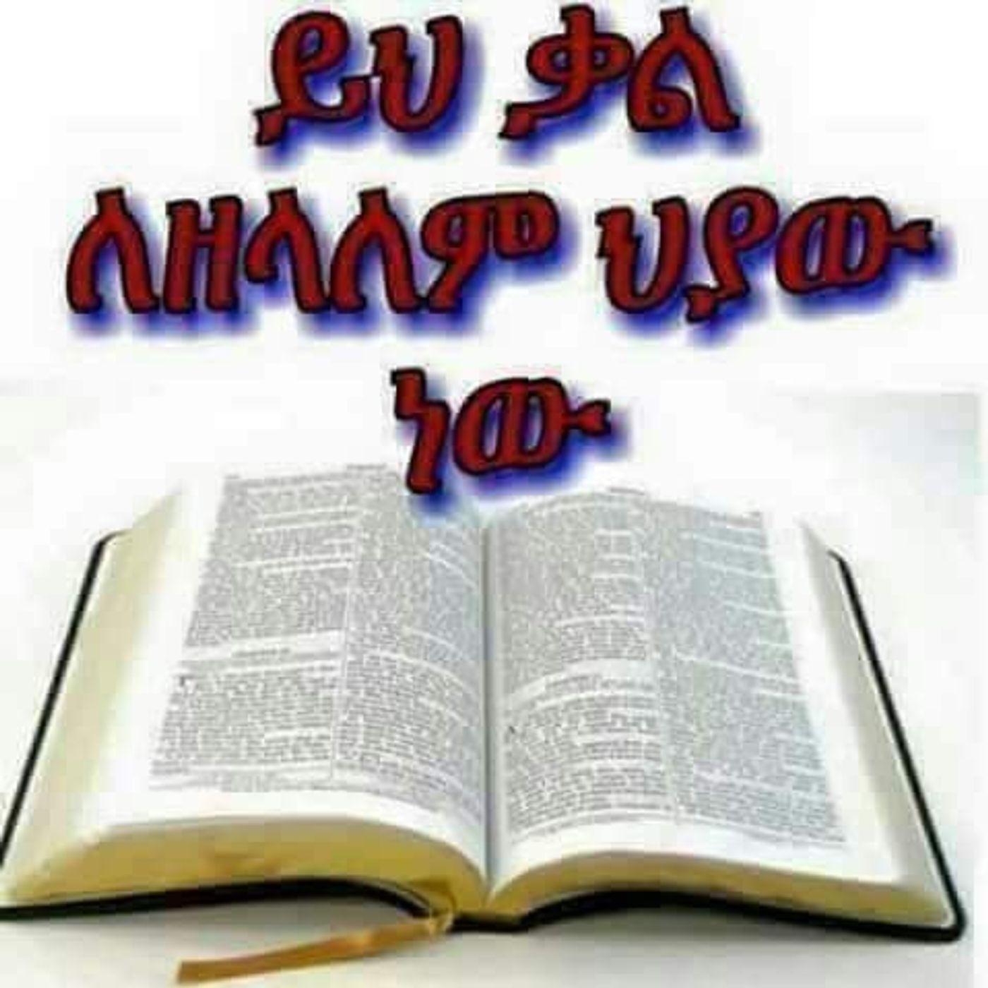 ክፍል 4. ምን ታያለህ ? በወንድም ሄኖክ ክፍል 4. ምን ታያለህ ? በወንድም ሄኖክ