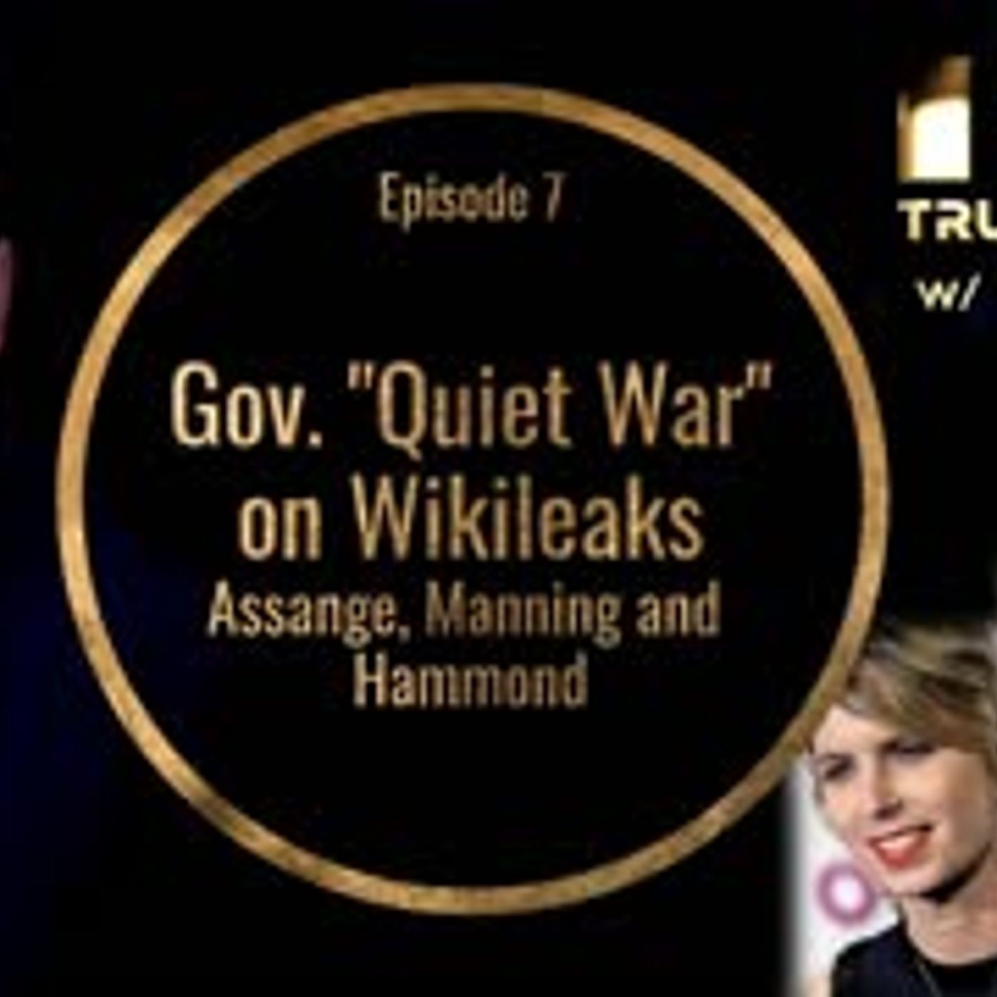Gov.  Quiet War  on Wikileaks, Assange, Manning and Hammond (Truth In Media w Ben Swann) episode artwork