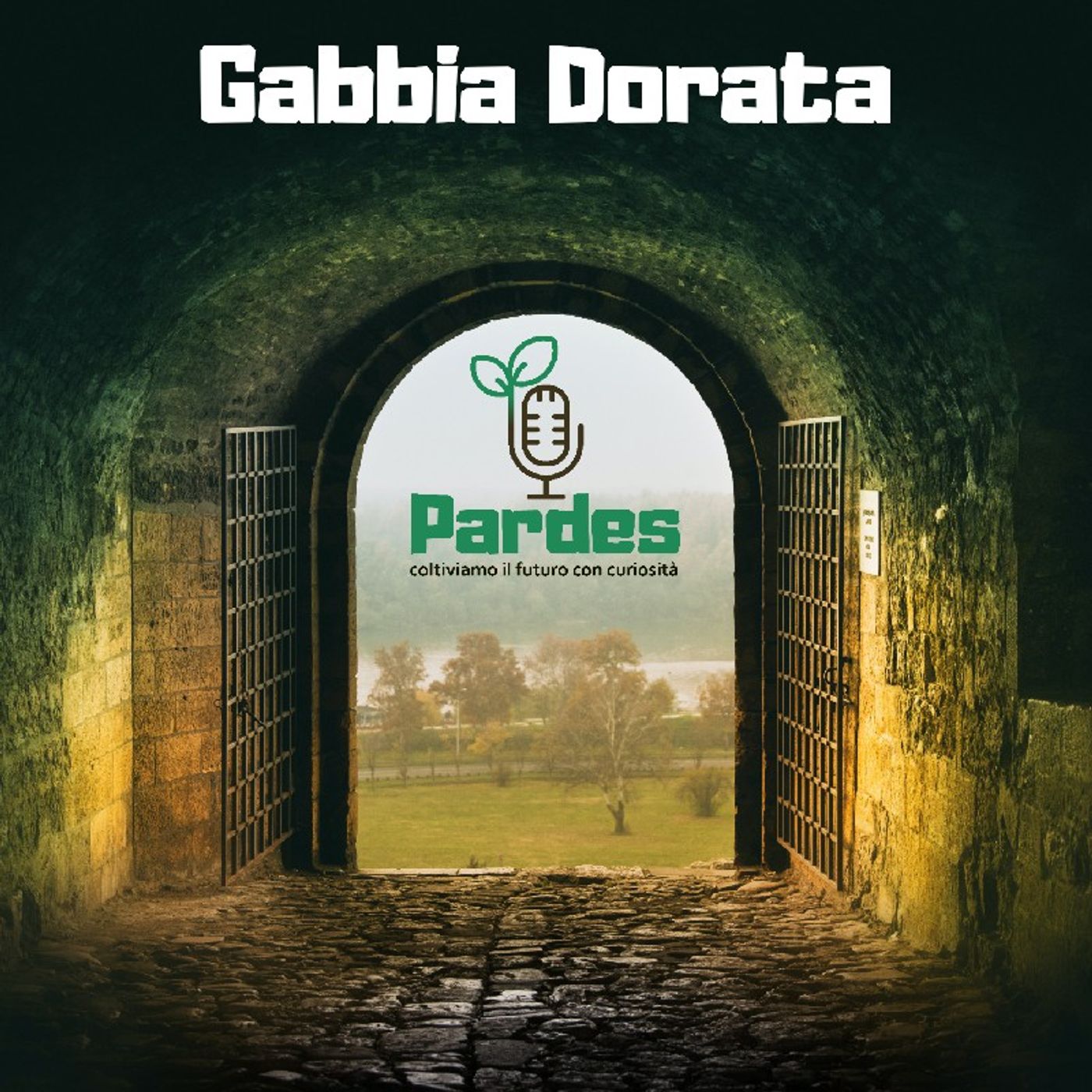 PARDES 077 - f - gabbia dorata
