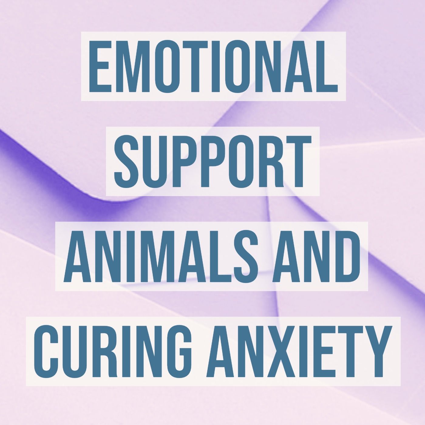 Emotional Support Animals and Curing Anxiety