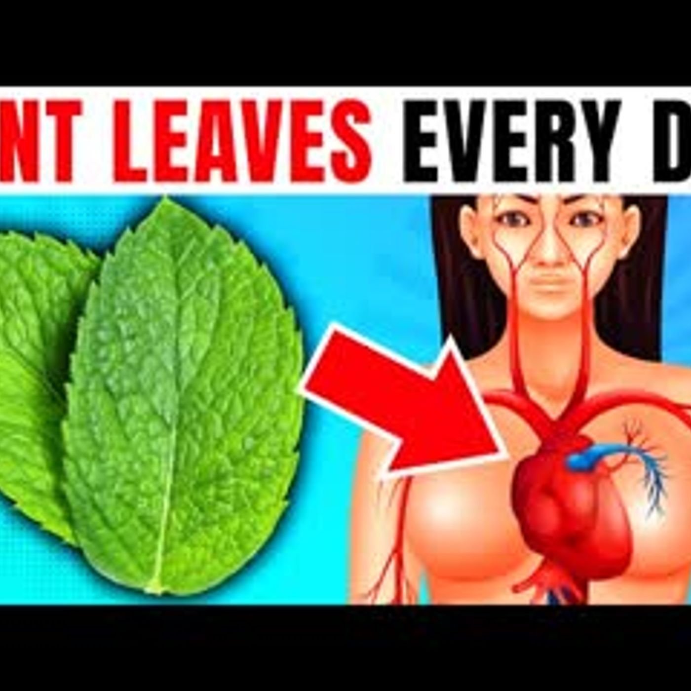 10 POWERFUL Reasons Why You Need To Have Mint Leaves Every Day episode artwork