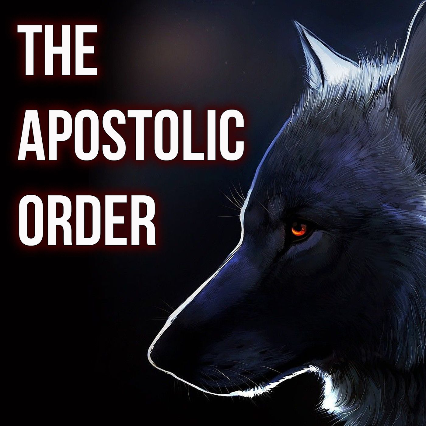 NYSTV: Midnight Ride- The Apostolic Order- Knights of Malta- NAR- 7 Mountains Mandate episode artwork
