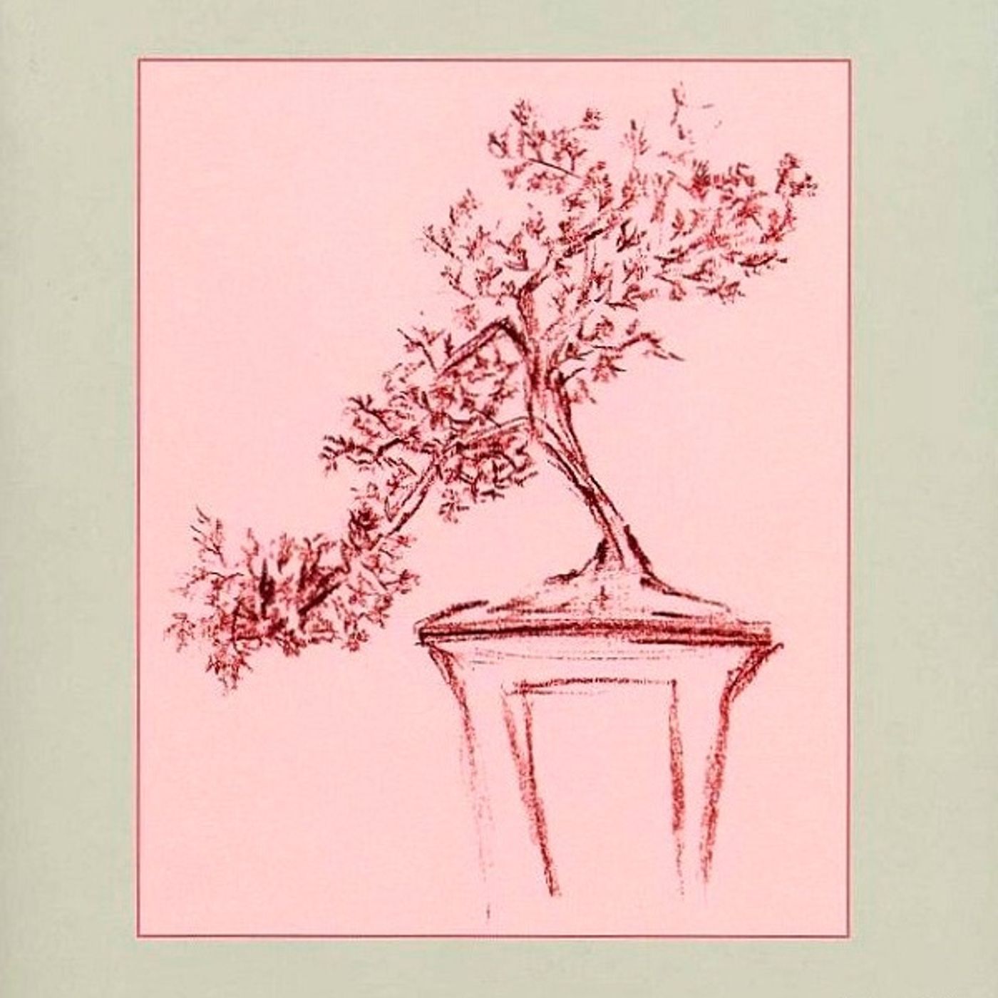 (Resumen) Bonsai - Alejandro Zambra