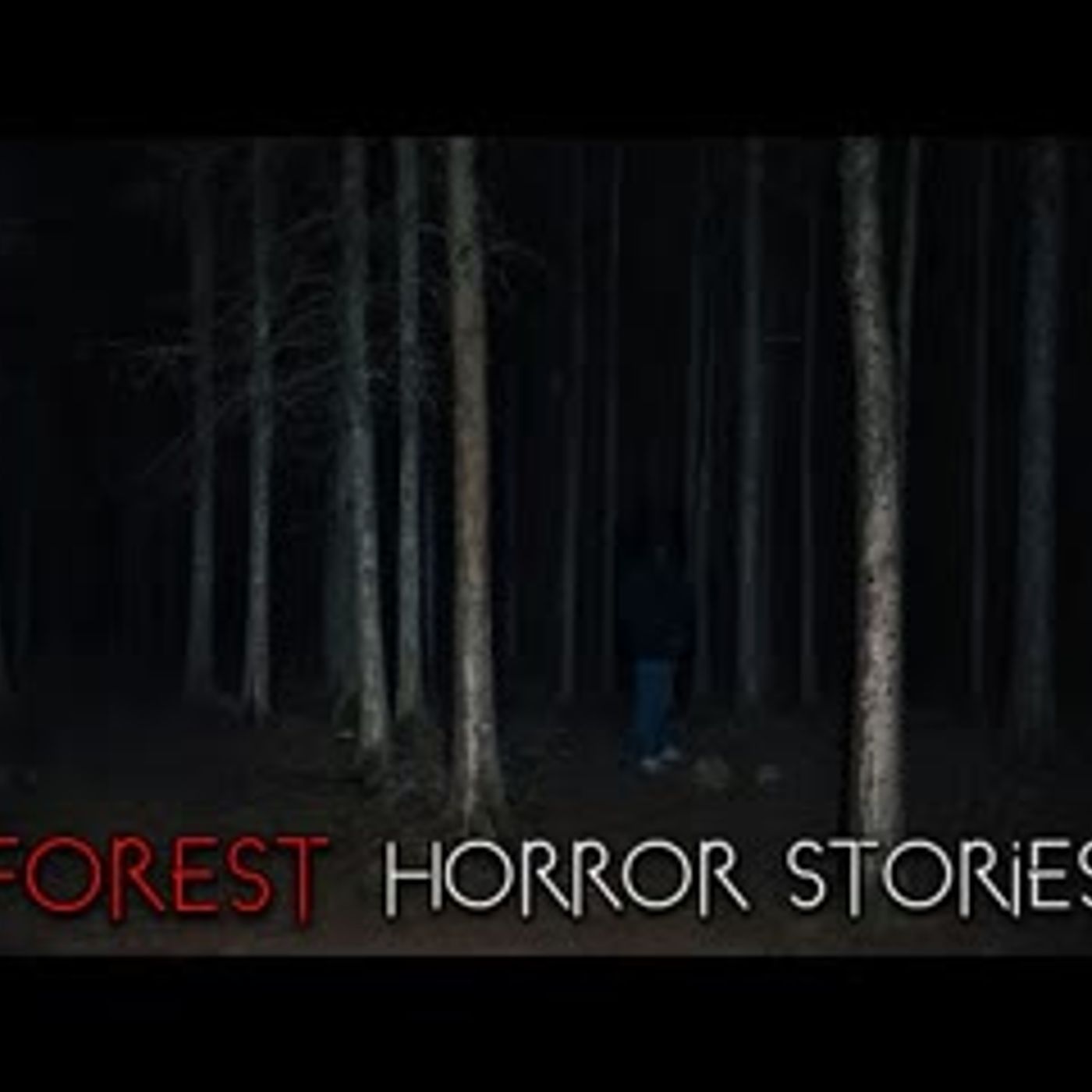 3 Creepy True Wilderness Horror Stories episode artwork