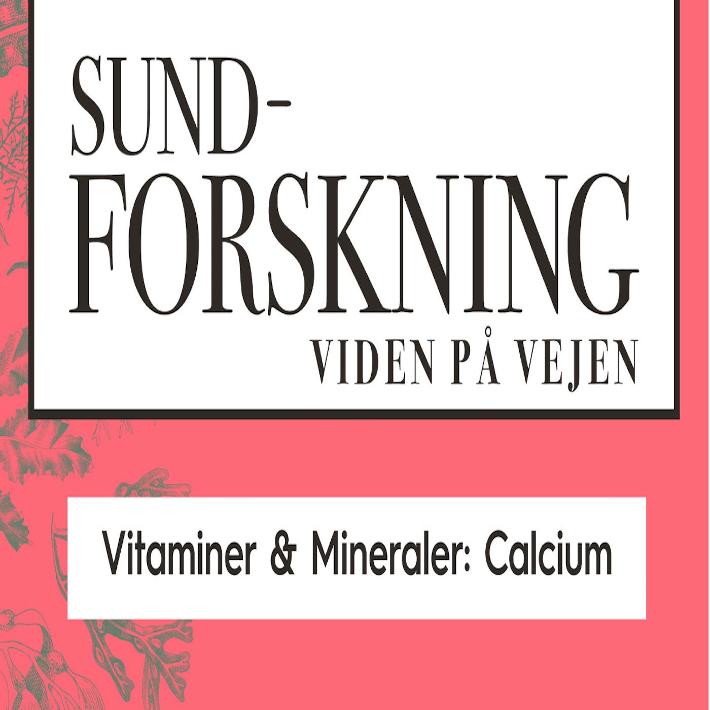 Vitaminer & Mineraler: Calcium