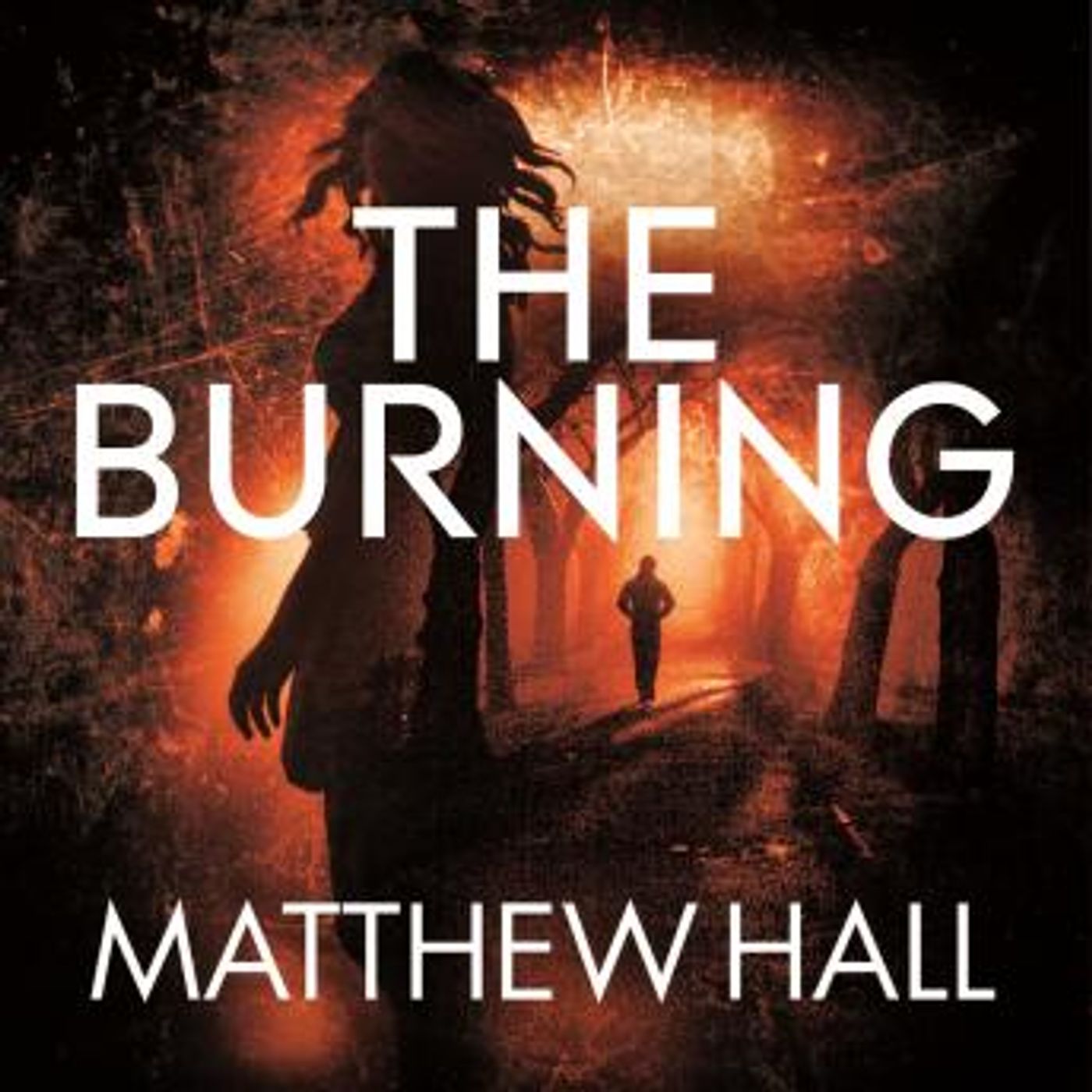 Download Best Full Trial Audiobooks in Mystery, Thriller & Horror, Police & Detective