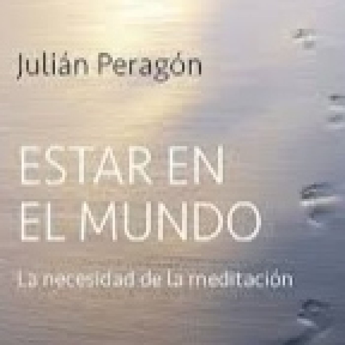 El arte de "estar en el mundo" - Episodio exclusivo para mecenas episode artwork