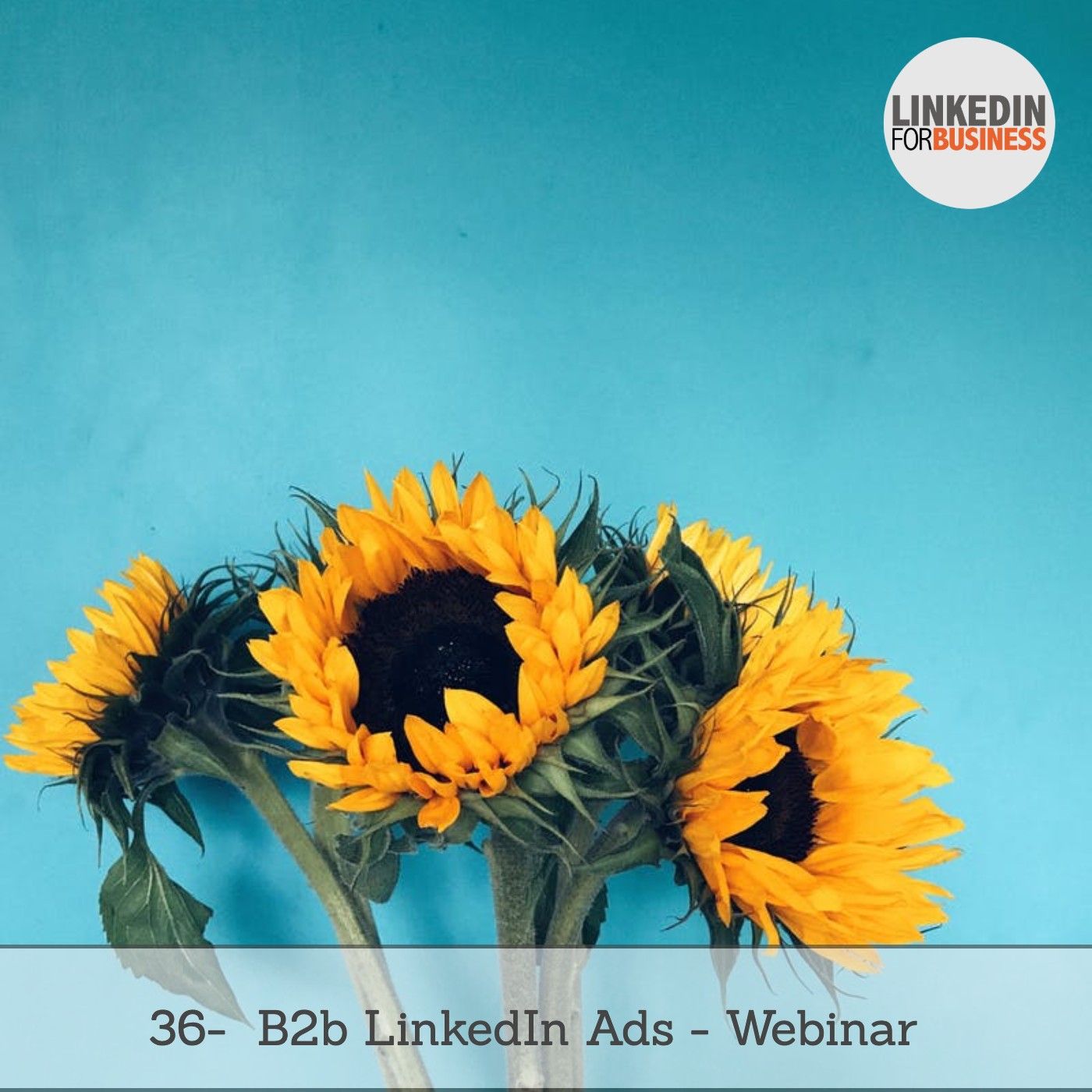 LinkedinForBusiness by Leonardo Bellini
