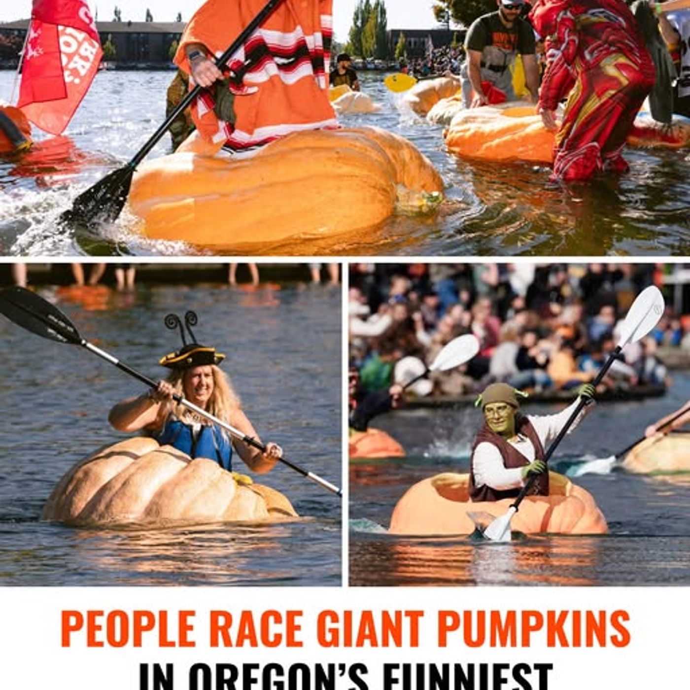 Newwwz of the WEEEIRD_102325