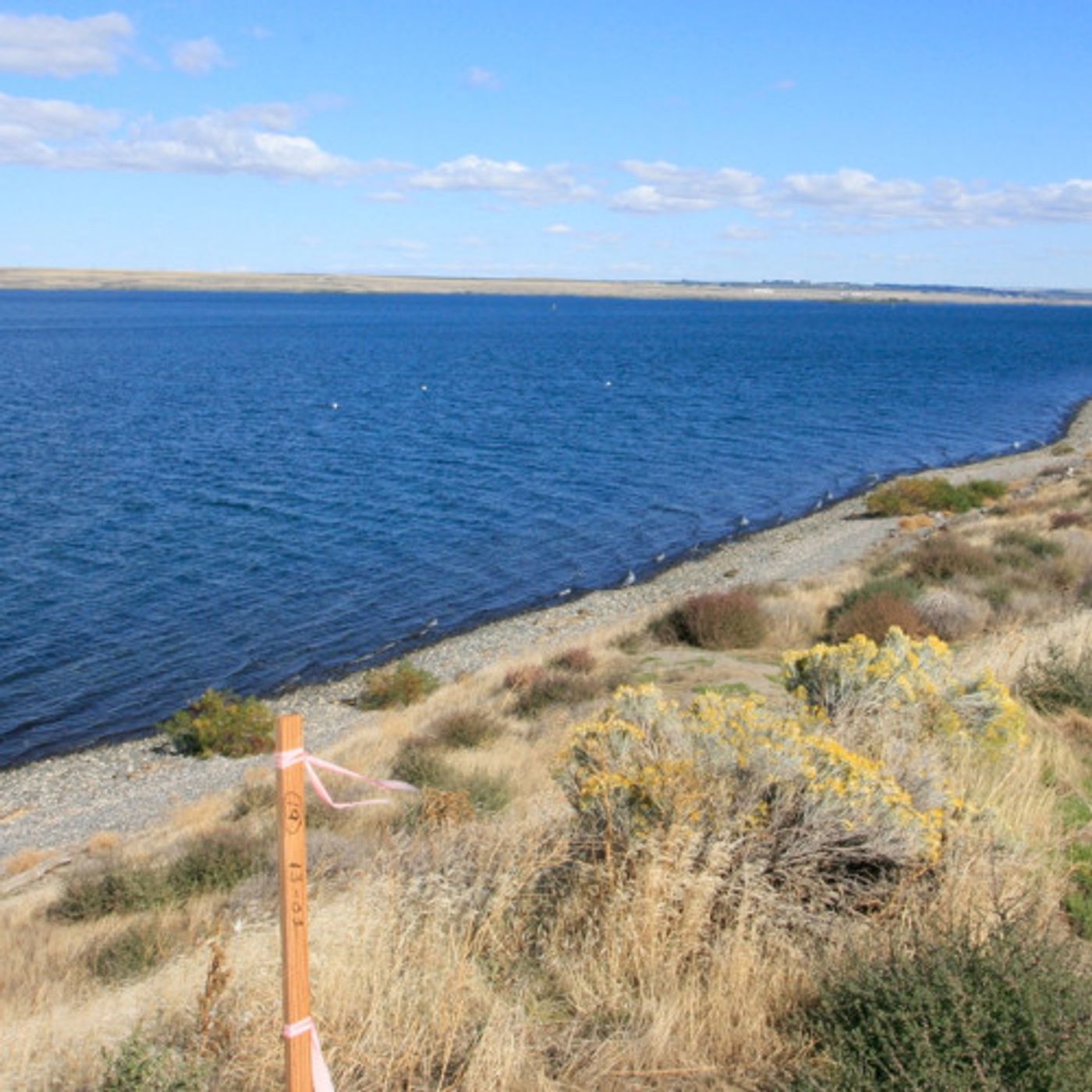 Oregon Denies Permit For Controversial Coal Export Dock episode artwork
