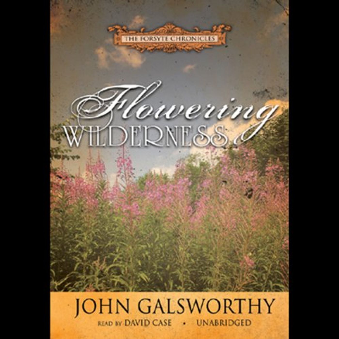 Get Top 100 Full Audiobooks in Classics, British Literature