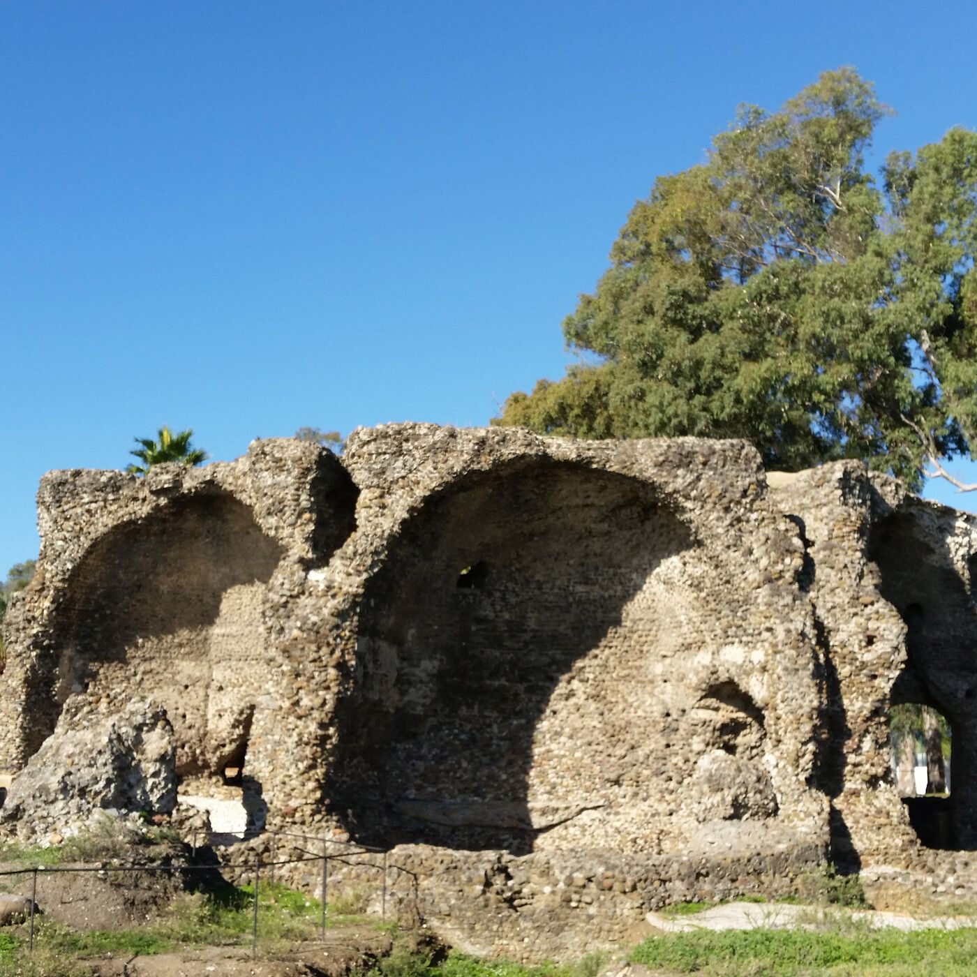 Crónicas de San Pedro Alcántara