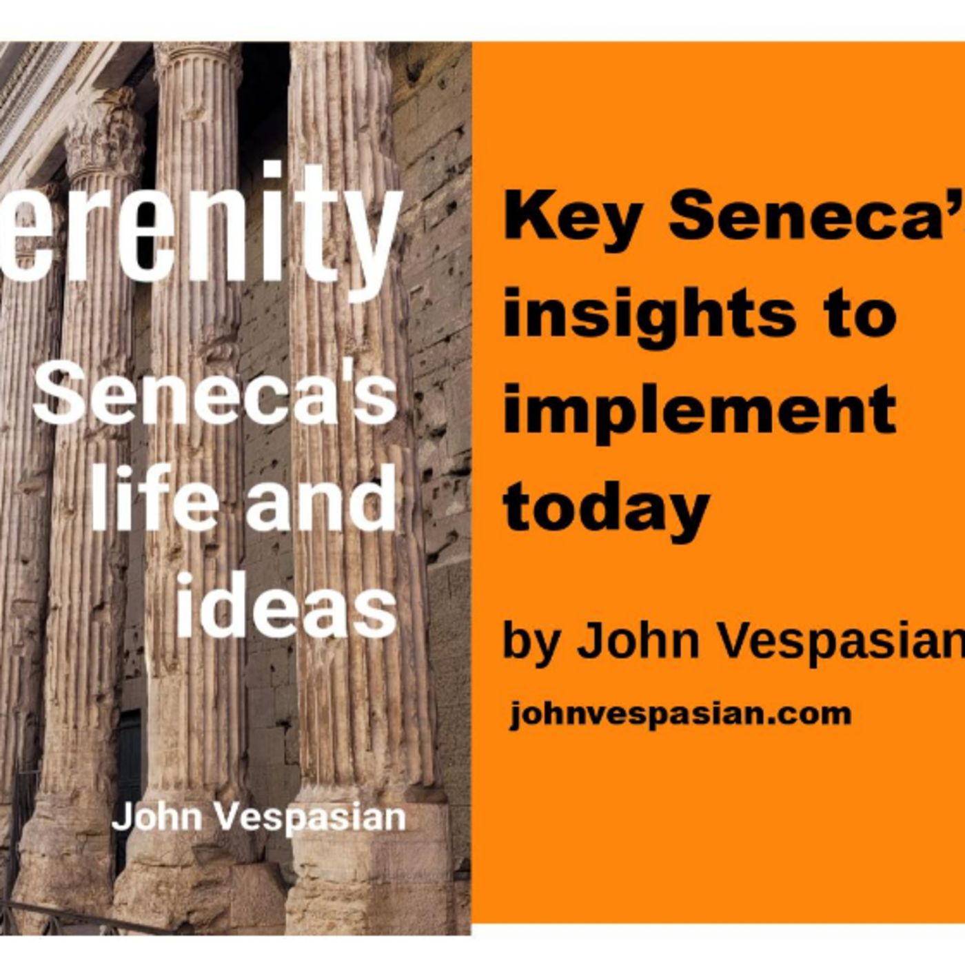 Key Seneca’s insights to implement today episode artwork