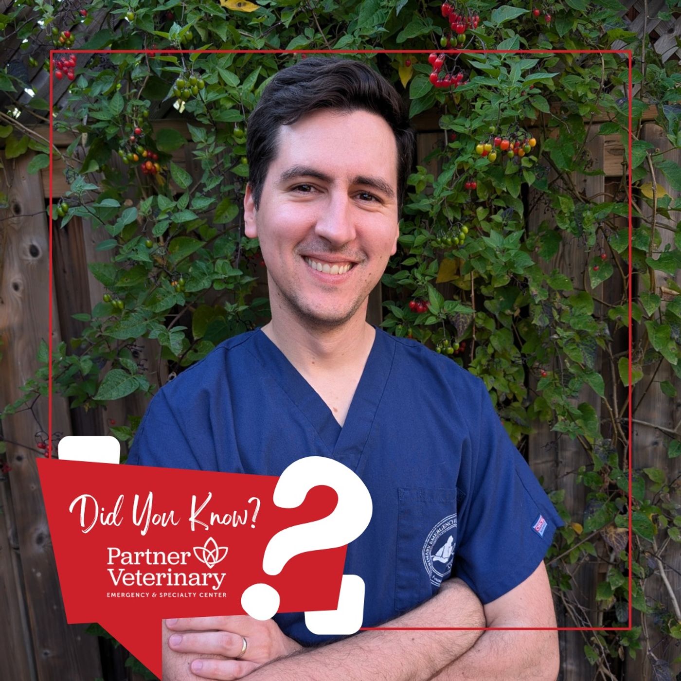 How we care for our most critical patients with Dr. Pierre Charelbois, DACVECC episode artwork