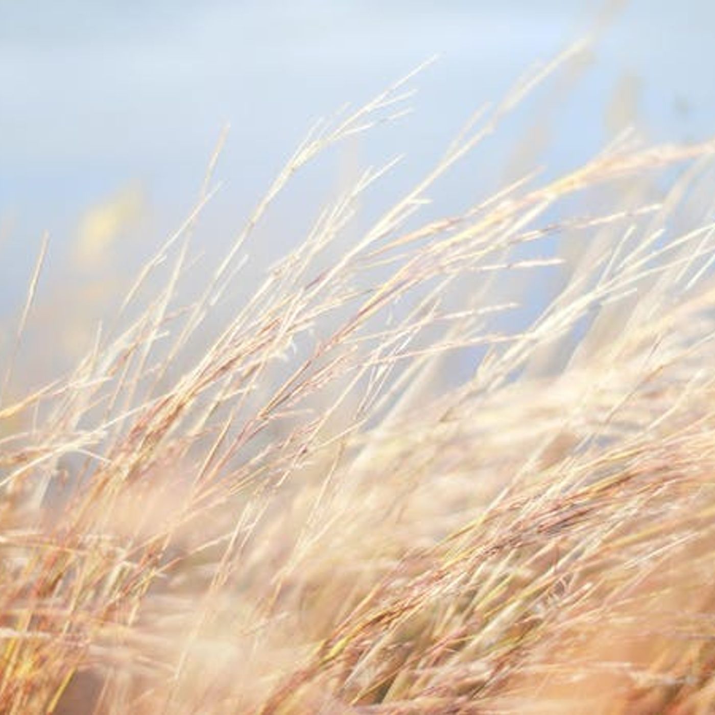 Was Job a Man or a Myth?