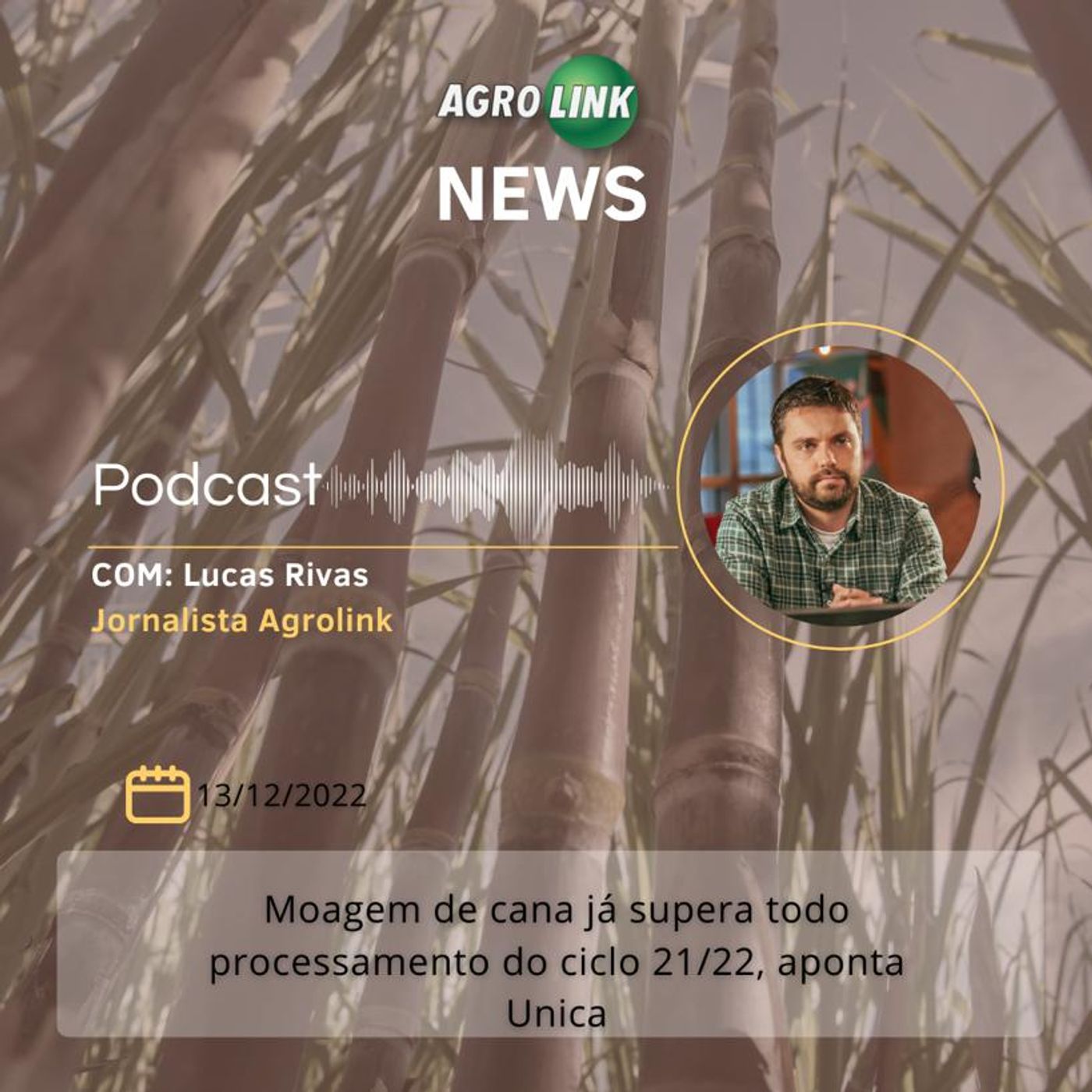 Mato Grosso do Sul tem aumento de 49% na produção de soja episode artwork