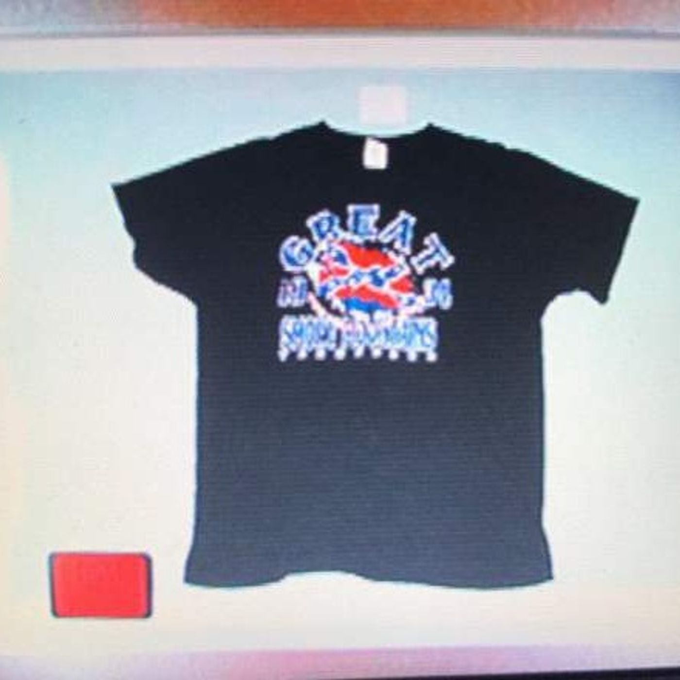 11/07/16 Ray Tensing Wore a Confederate Flag T-Shirt When He Killed Sam DuBose, Shaq is a Fool, Triggers for Trump? episode artwork